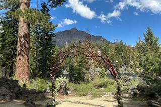 Reno Tahoe Enchanted Events - 22