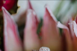 Fletch Photography - 16