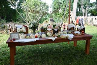 Black Swan Events - 31