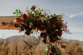 Venetucci Farm - 7