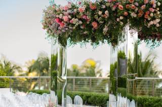 Peacock Premier Events - 11