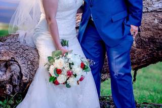 Ziba Photography - 27