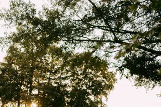 Cameron Budove Photography - 17