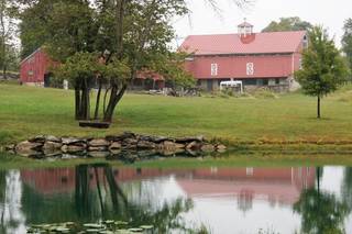 Events at Wild Goose Farm - 38
