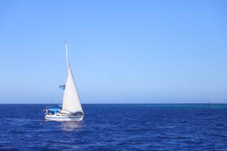 Perfect Honeymoons - 27