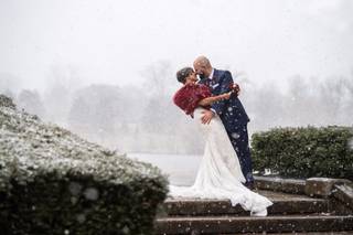 Joe Lewis Photography - 8