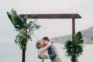 Honey Photographs - 9