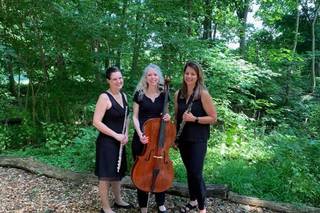 The Silverwood Trio - 3