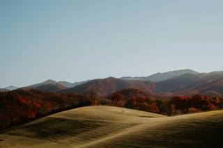 Salt + Ivy Photography - 6