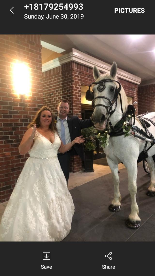 Olde Tyme Carriage Co. - 3
