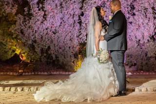 Jose Ybarra Photography - 208