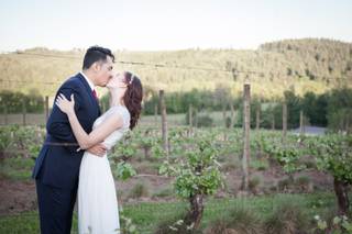 Beacon Hill Winery & Vineyard - 12