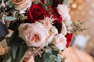 Jaclyn Shaw Photography - 47