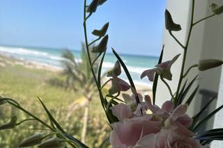 Sarandipity Floral - 20