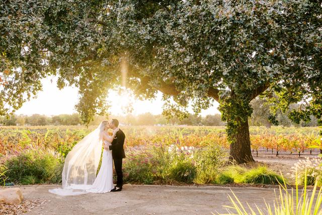 Katie Jackson Photography - 1