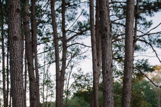 Stephanie Adkins Photography - 10