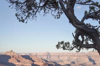 Heather Kadar Photography - 37