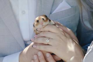 Tati and Roman - 29