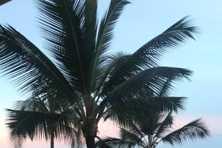 Royal Kona Resort - 33