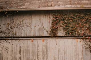 Adeva Rae Photography - 29