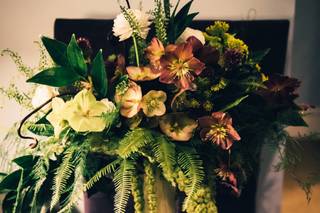 Springvale Floral - 46