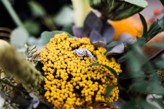 Images by Amber Robinson - 7
