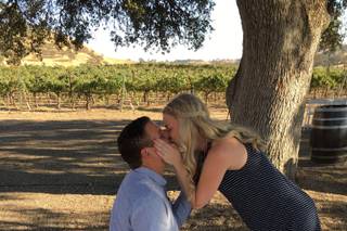 Cass Winery - 16