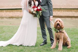 Madeleine Collins Photography - 41