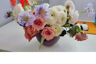 Phlox Tale Studio - 39