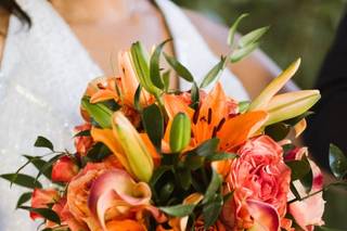 Elizabeth Hoard Photography - 101