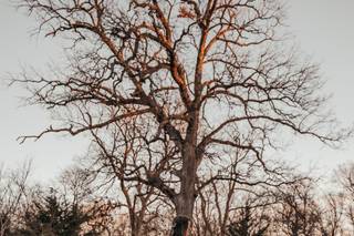 Arrowwood Weddings + Events - 41