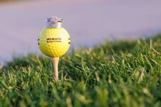 Paul Bartels Photography - 18