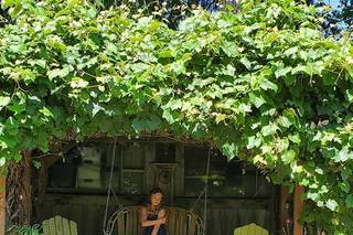 Olalla Vineyard & Winery - 8