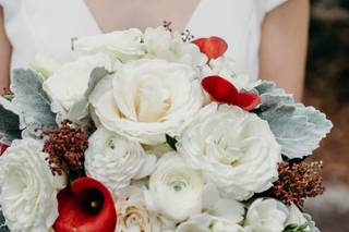 Alessandra Lee Photography - 48