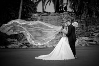 Bellissima Bridal Designs - 13