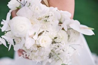Royal Bee Flower Co. - 16