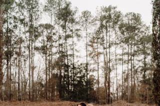 Intrinsic Photo & Film - 8