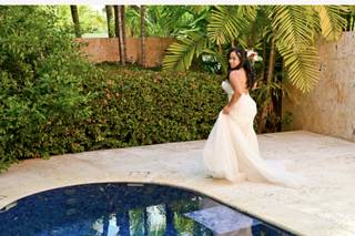 Tropical Pictures - 7