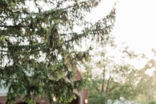 Morgan Diane Photography - 4