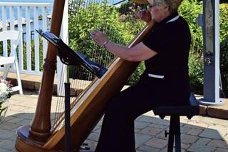 Debbie Beck - Harpist - 12