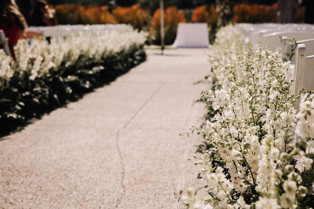 Heartfelt Weddings and Events - 1