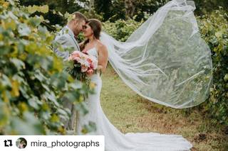 Mira Photographs - 73