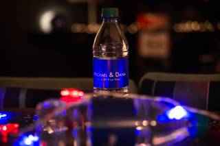 Blue Panda Photography - 8