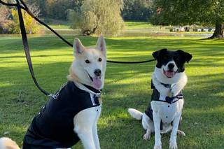 Wedding Puptials - 12