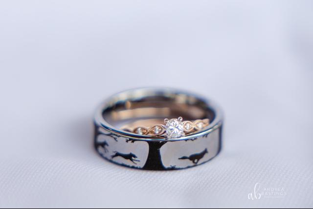 Andrea Bastings Photography LLC - 1
