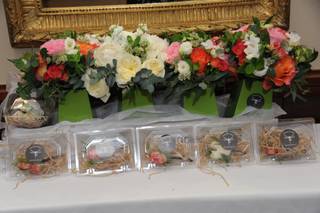 Damselfly Designs - 47