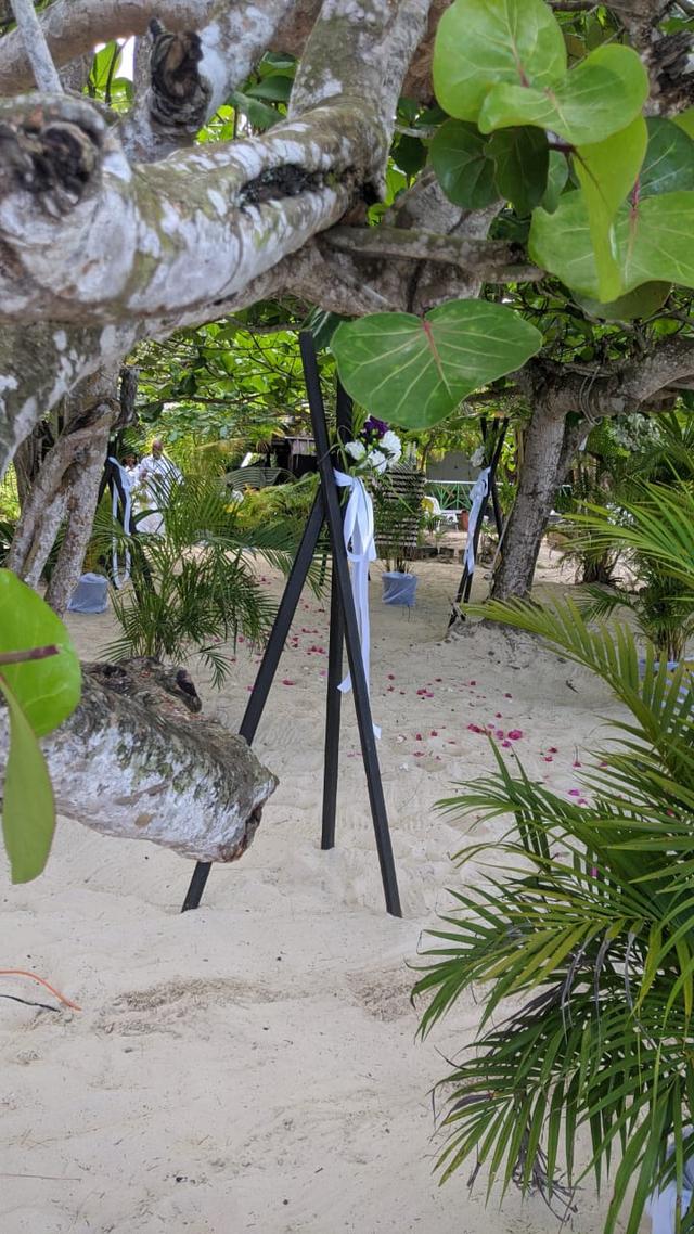 Firefly Beach Cottages - 1