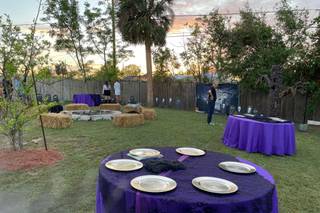 Fairy Godmother Parties and Events - 20
