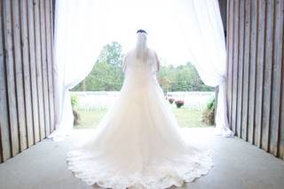 Bayless Photography, Inc. - 13