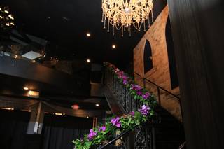 The Venue Fort Lauderdale - 29